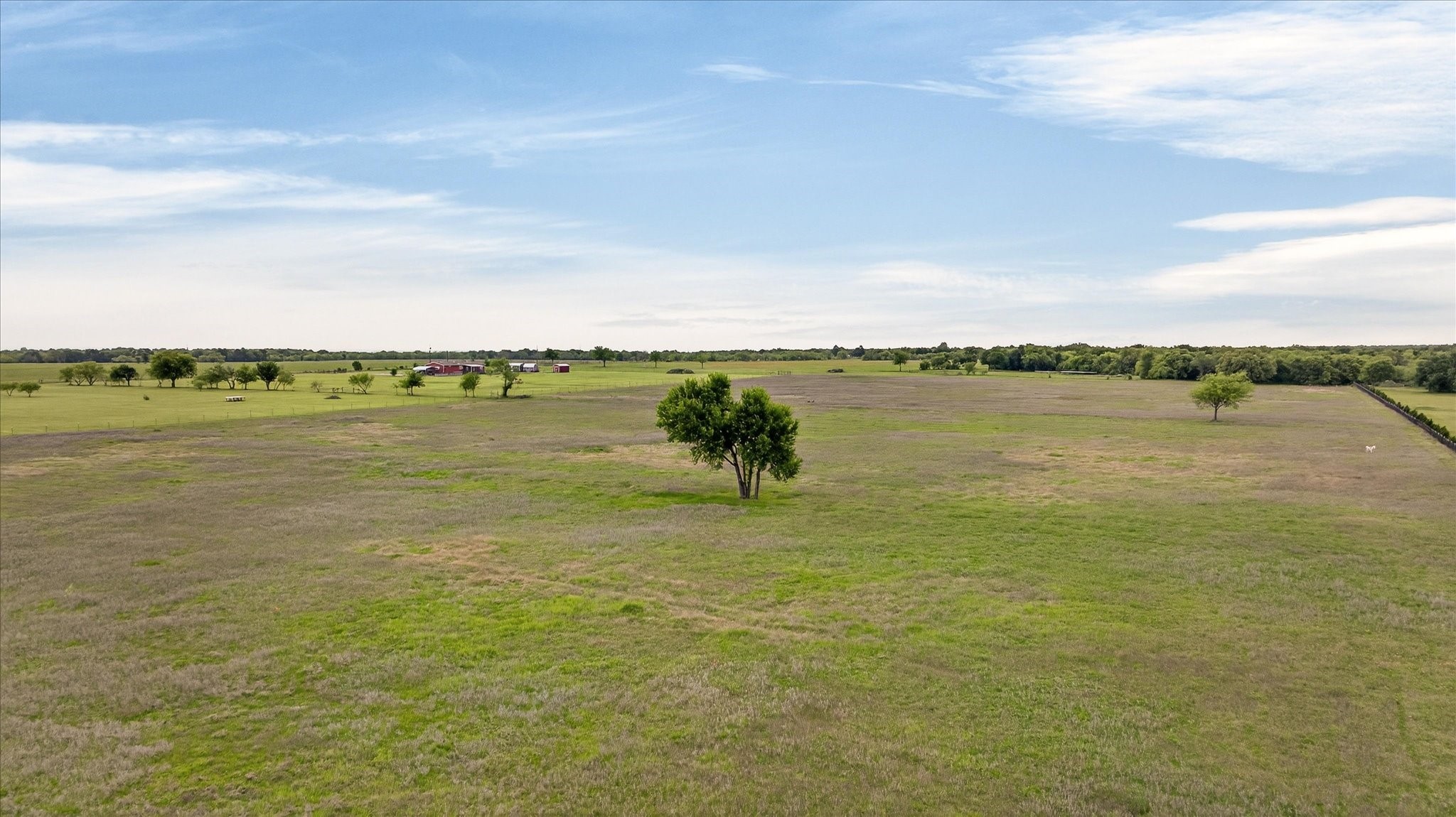 6299 Fm 1195 Mineral Wells TX 76067