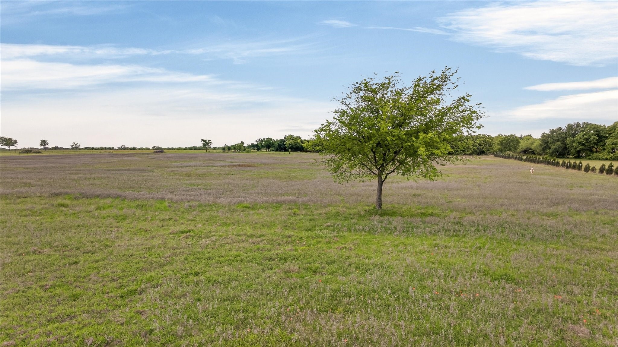 6299 Fm 1195 Mineral Wells TX 76067