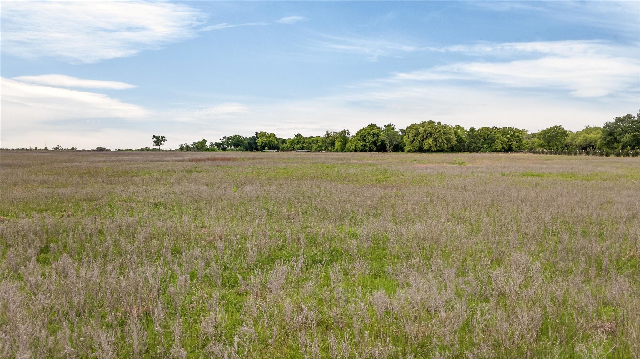 6299 Fm 1195 Mineral Wells TX 76067