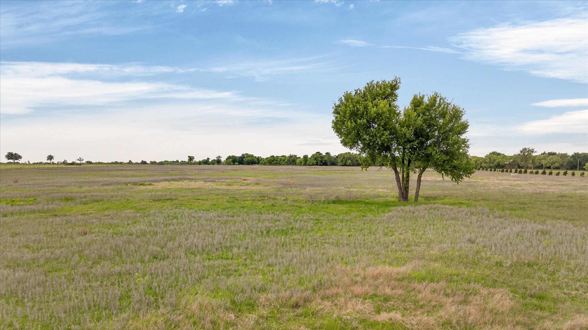 6299 Fm 1195 Mineral Wells TX 76067