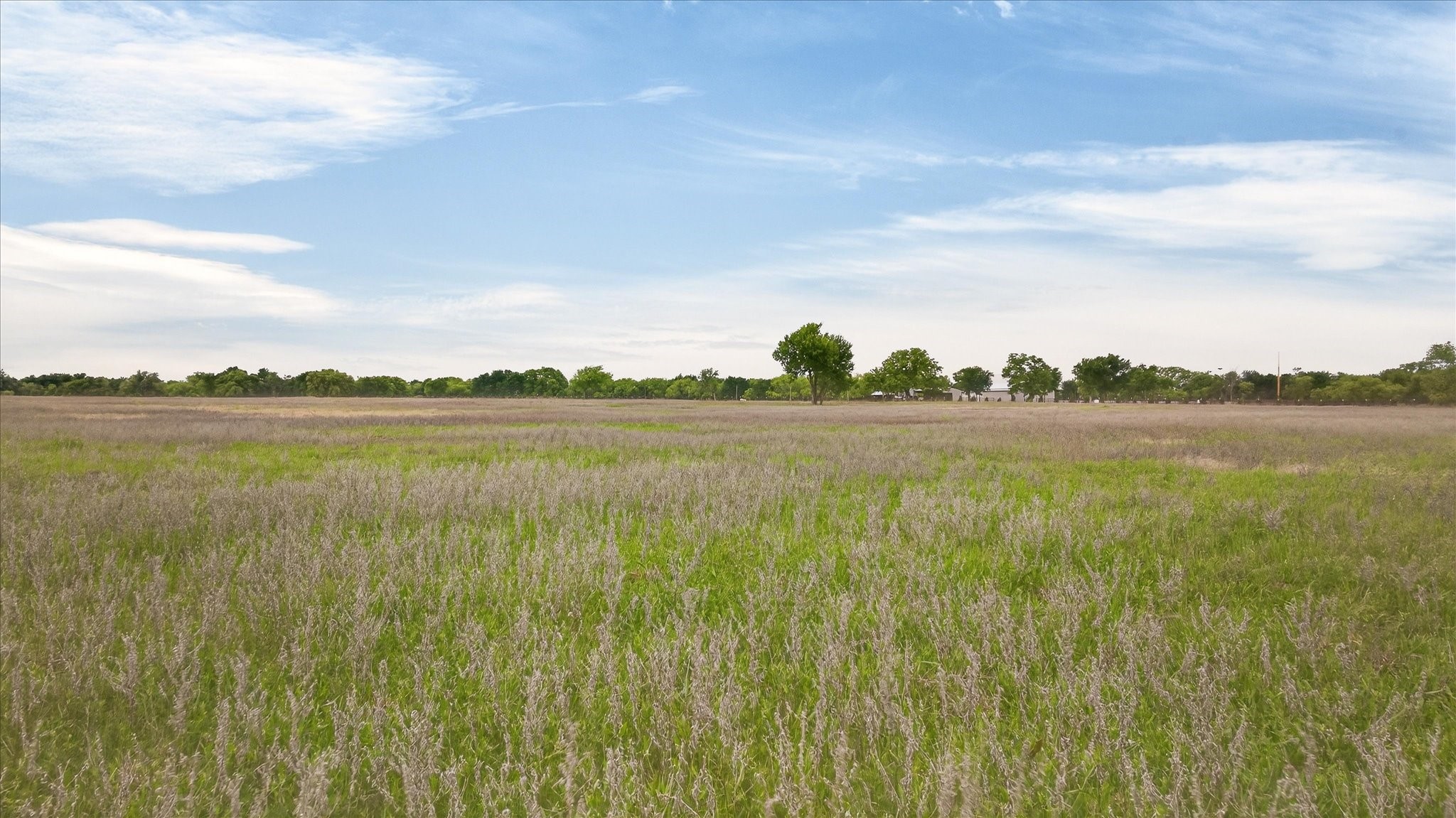 6299 Fm 1195 Mineral Wells TX 76067