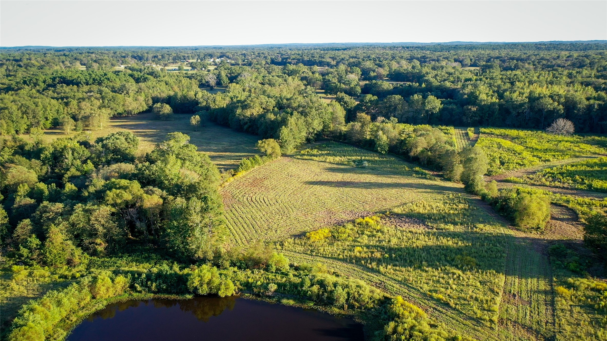 Tbd E Goode Street Quitman TX 75783