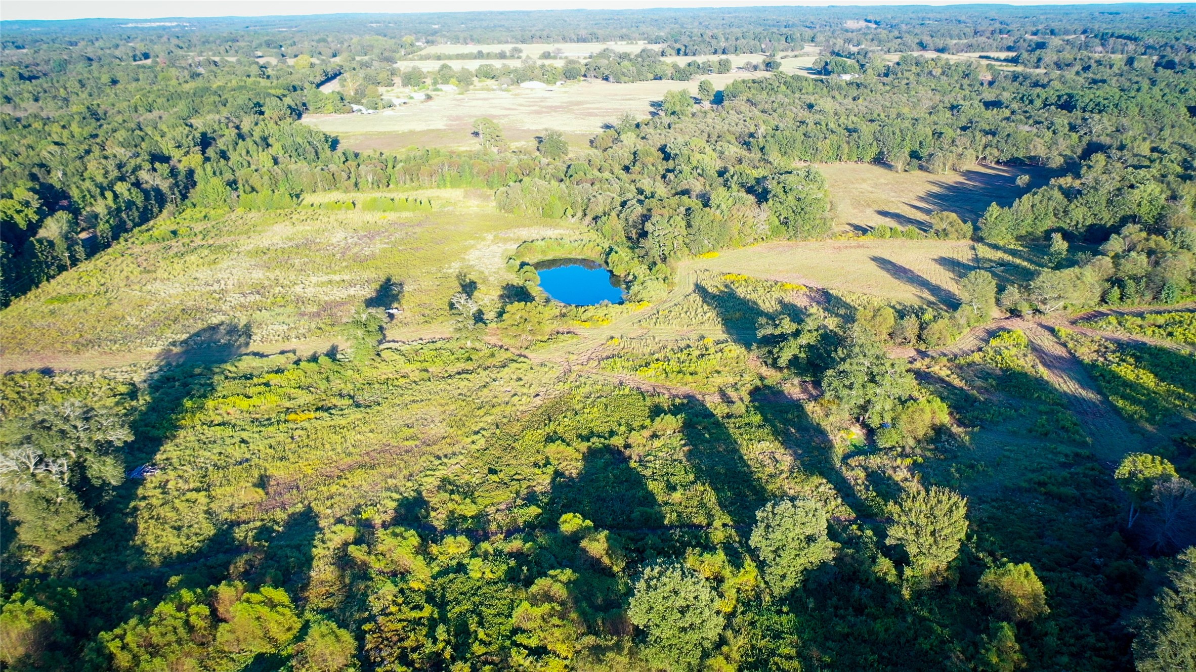 Tbd E Goode Street Quitman TX 75783