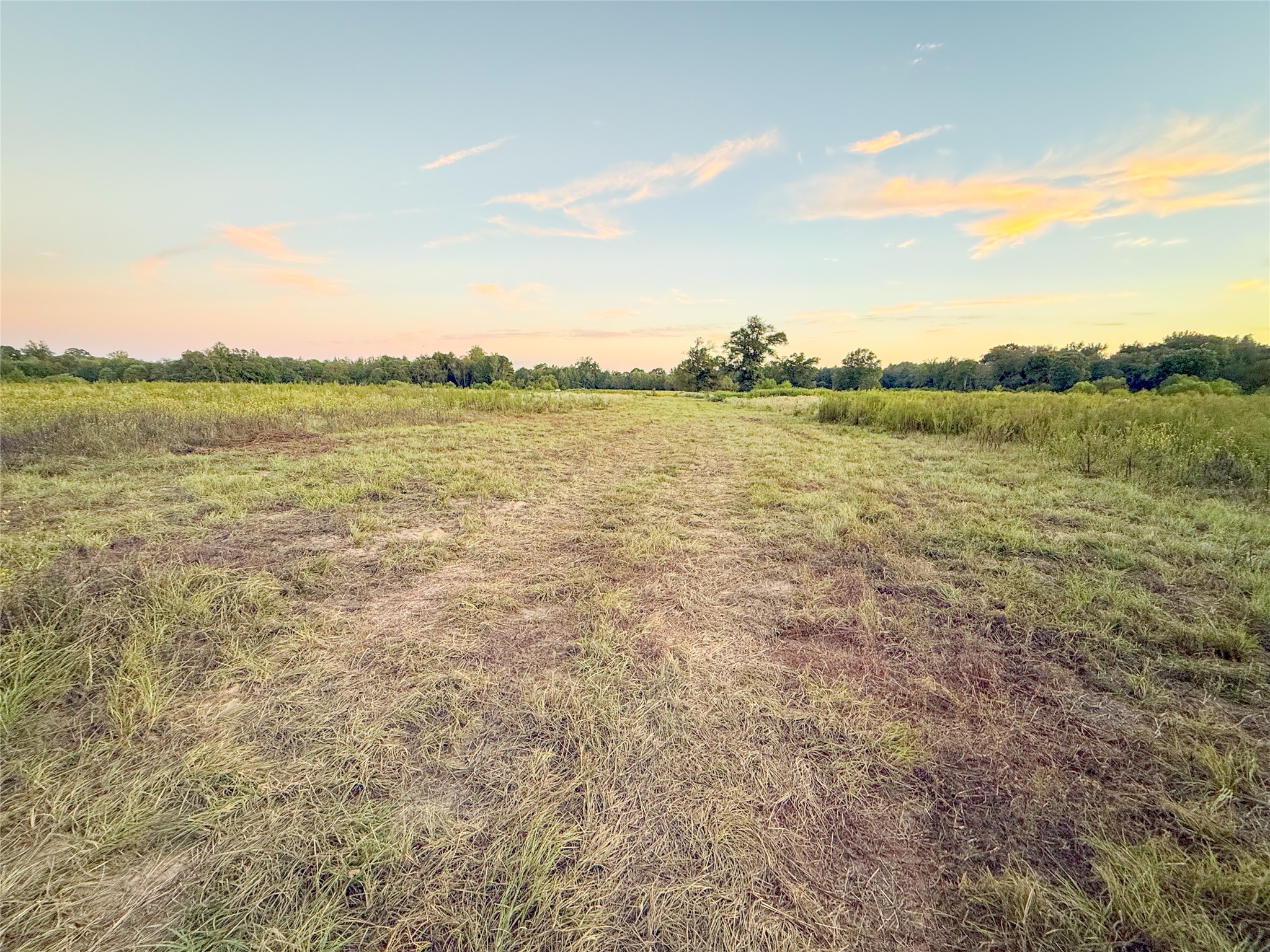 Tbd E Goode Street Quitman TX 75783