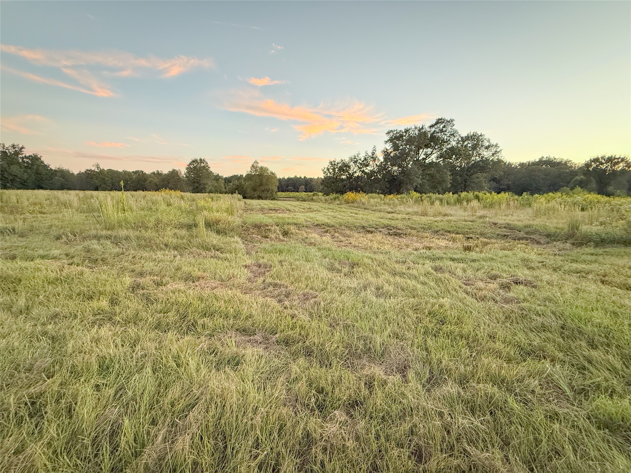 Tbd E Goode Street Quitman TX 75783