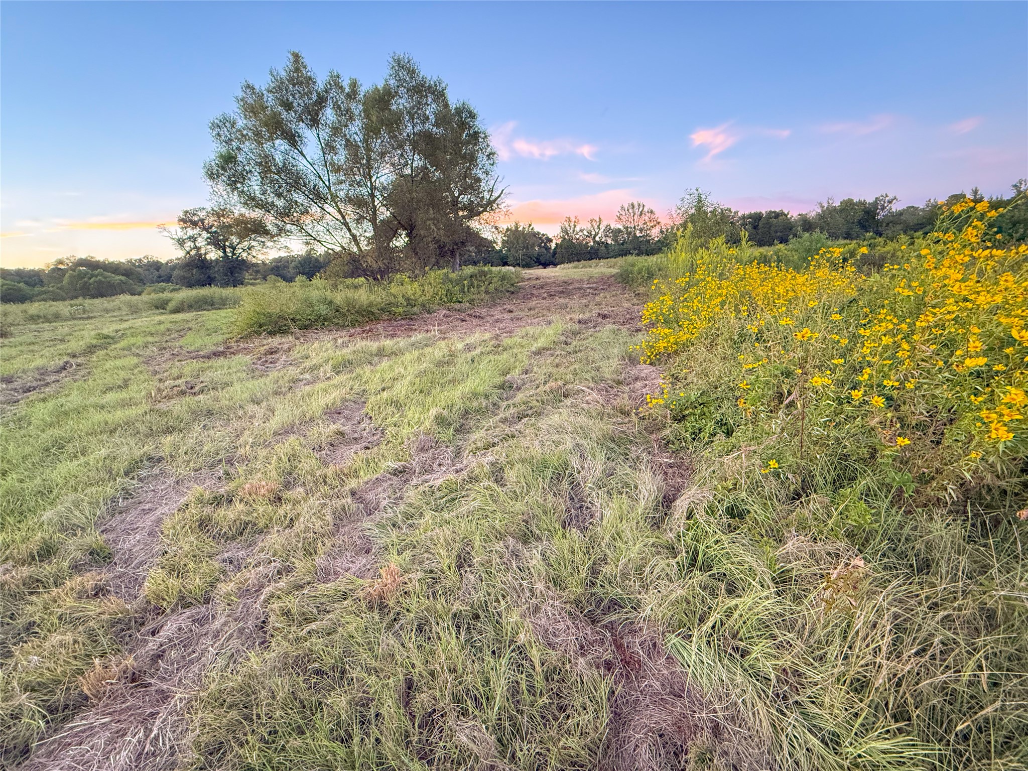 Tbd E Goode Street Quitman TX 75783