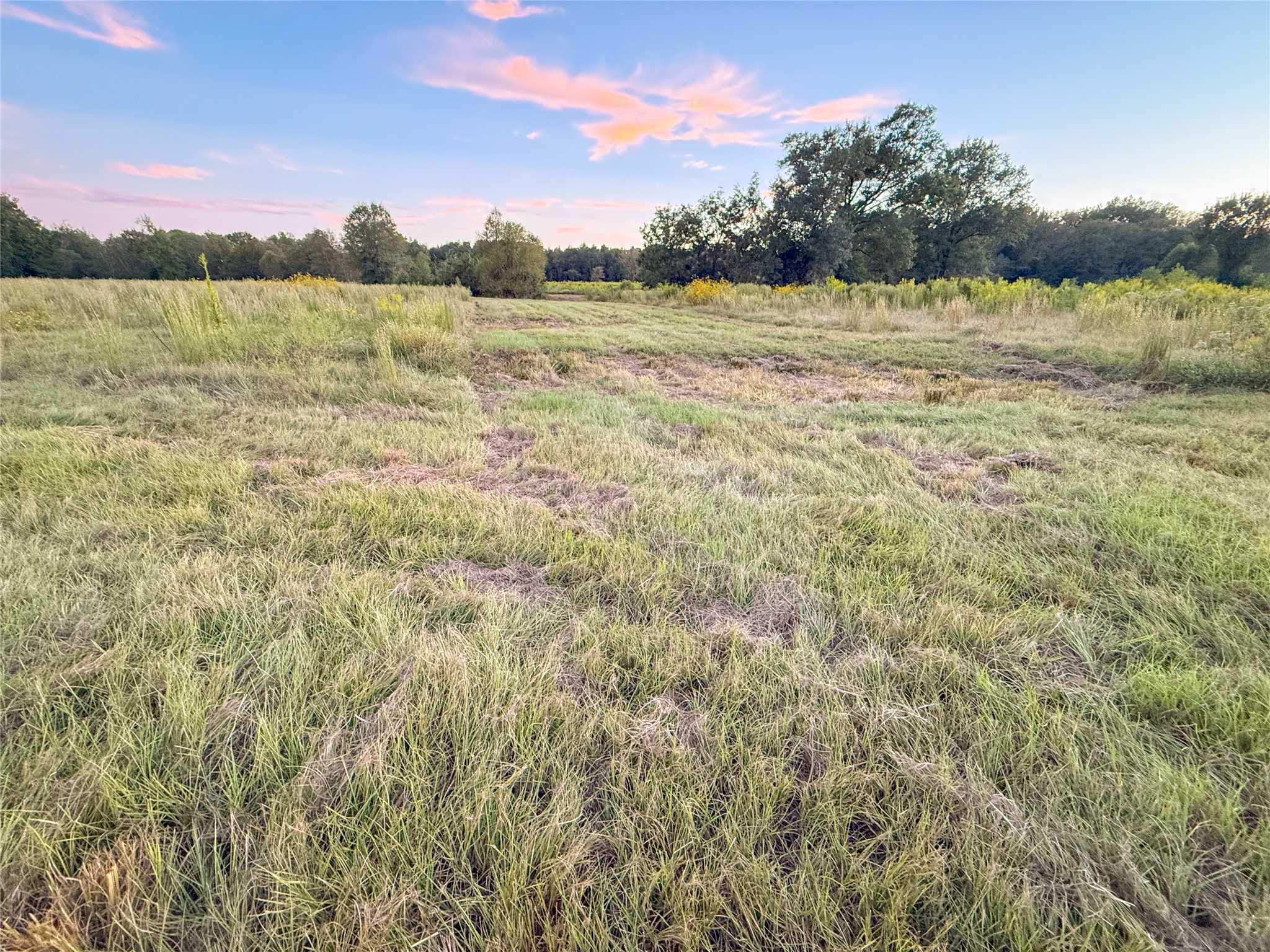 Tbd E Goode Street Quitman TX 75783