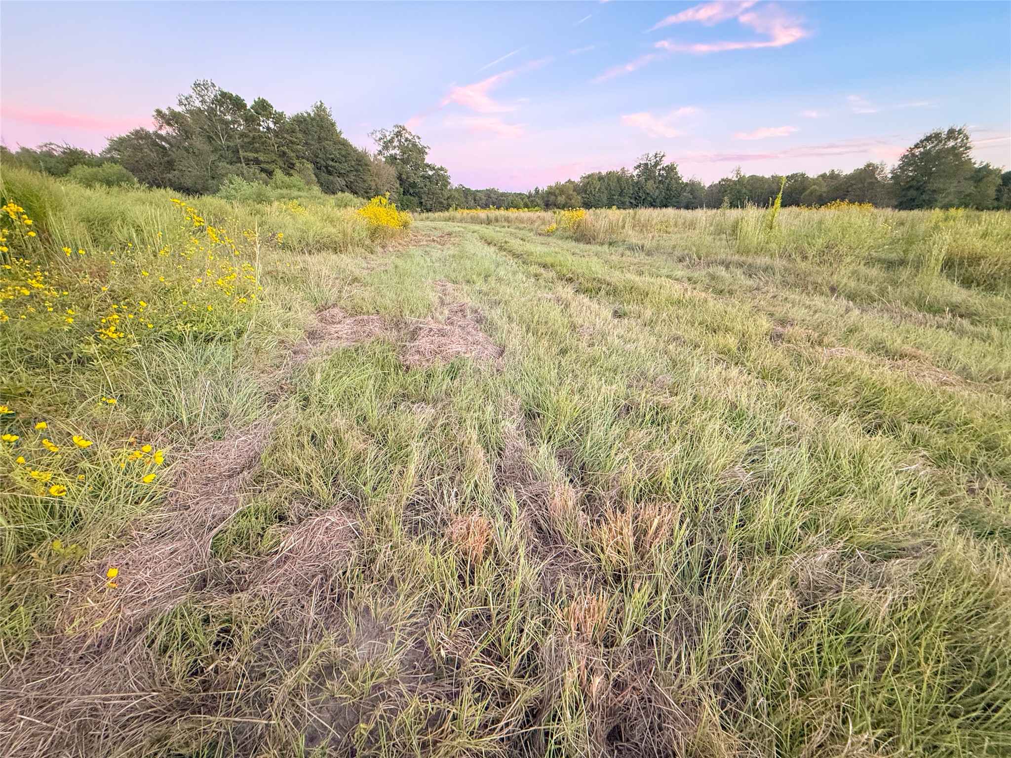 Tbd E Goode Street Quitman TX 75783