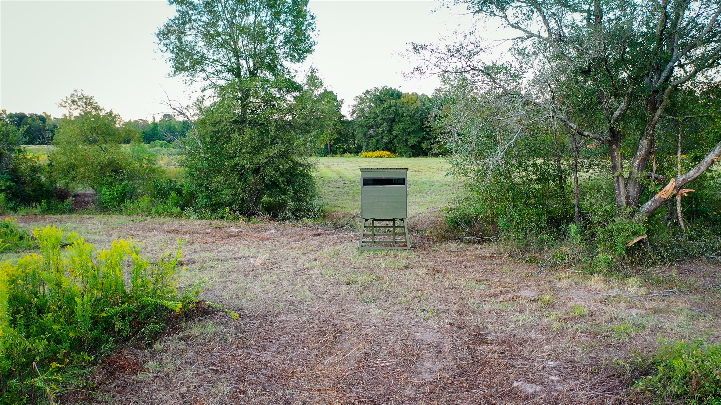 Tbd E Goode Street Quitman TX 75783