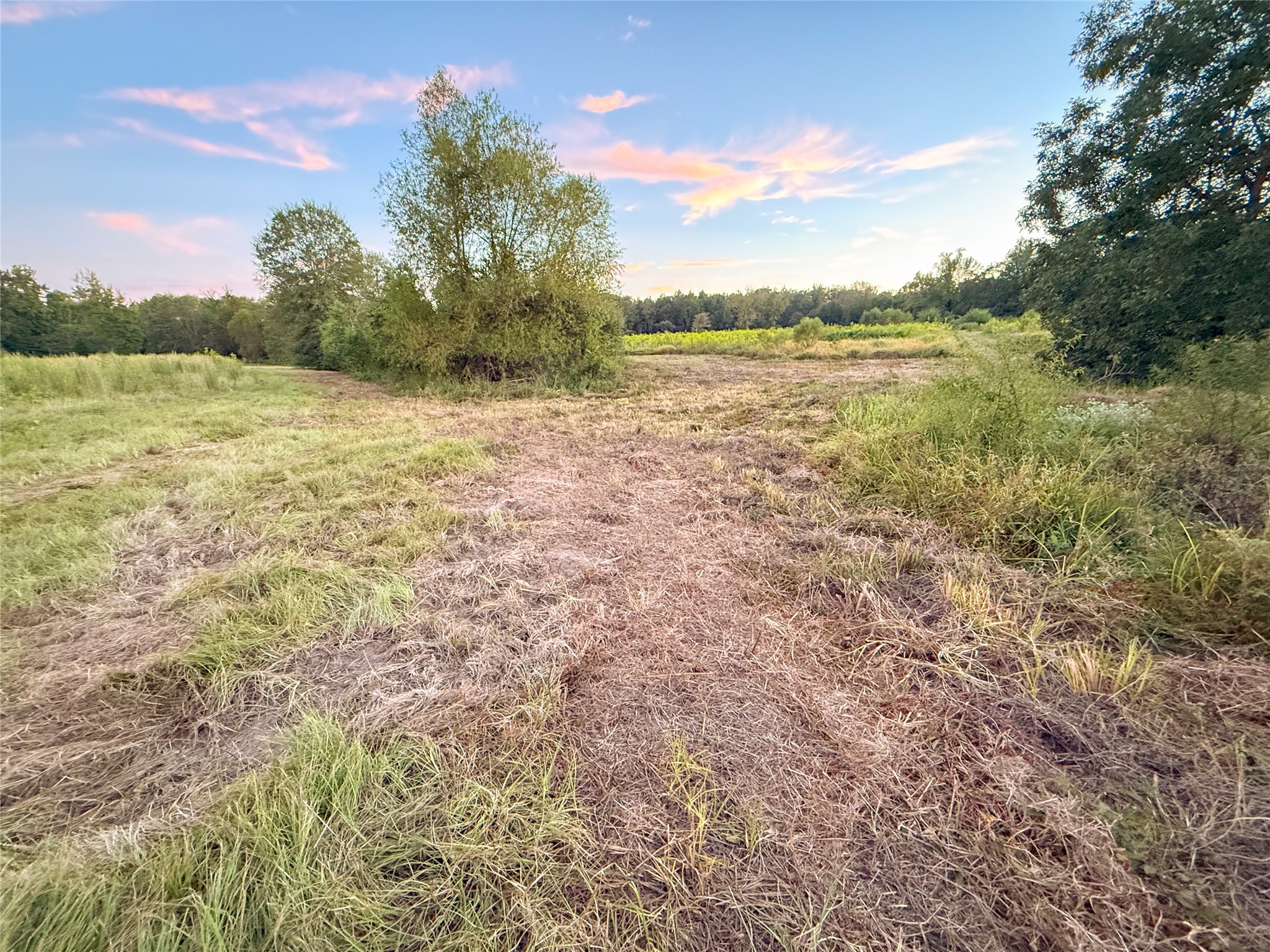 Tbd E Goode Street Quitman TX 75783