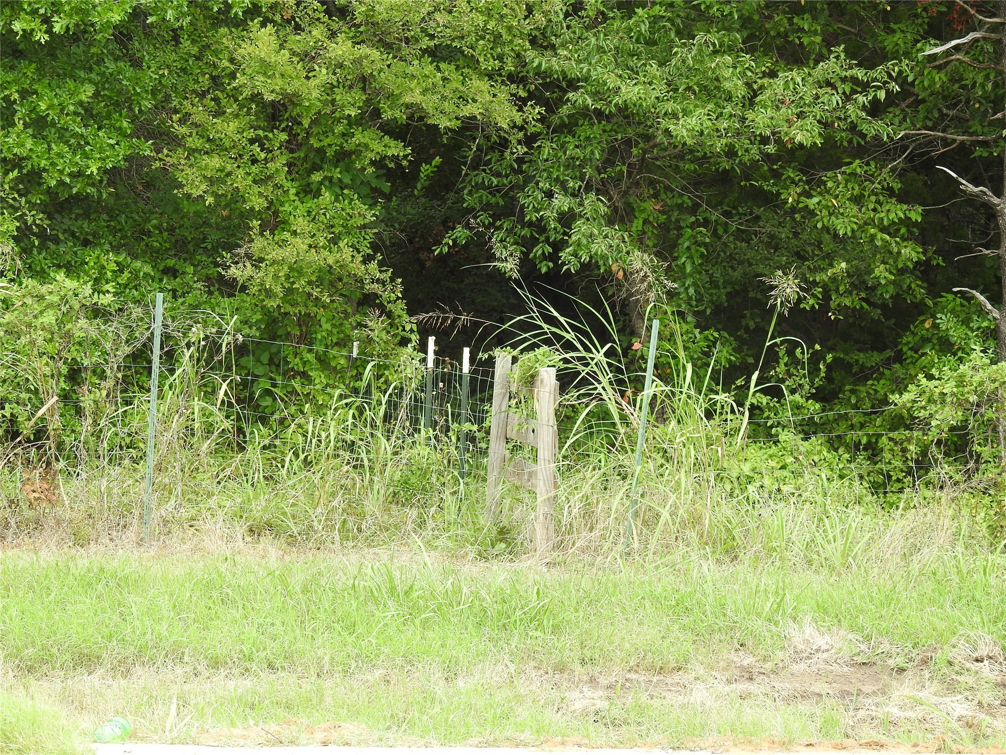 000 Highway 78 N Bonham TX 75418