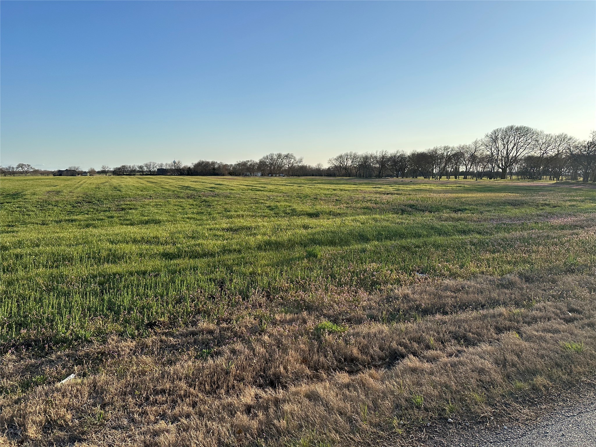 00 Mcconnell Road Gunter TX 75058