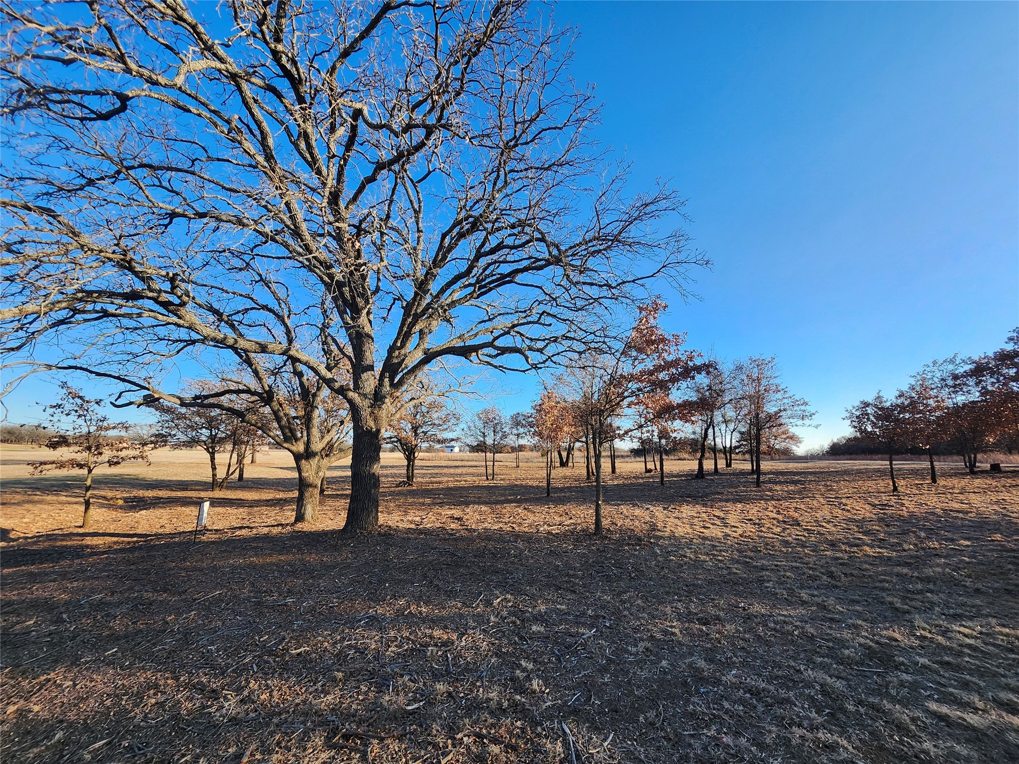 10 Ridglea Court Nocona TX 76255