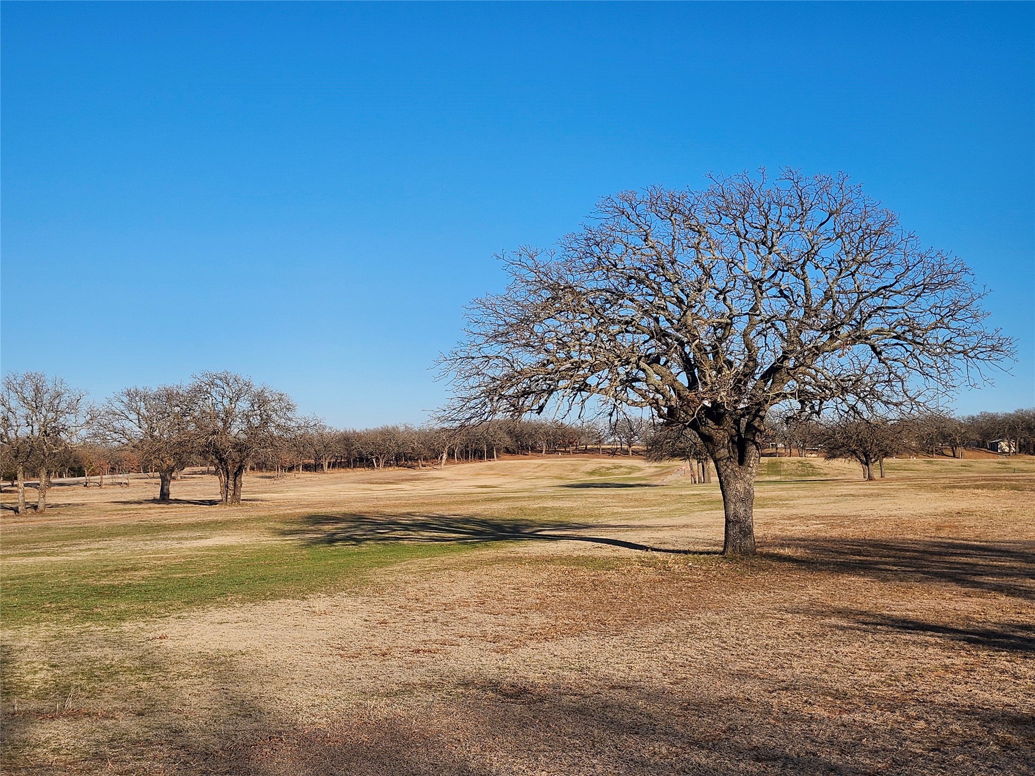 10 Ridglea Court Nocona TX 76255
