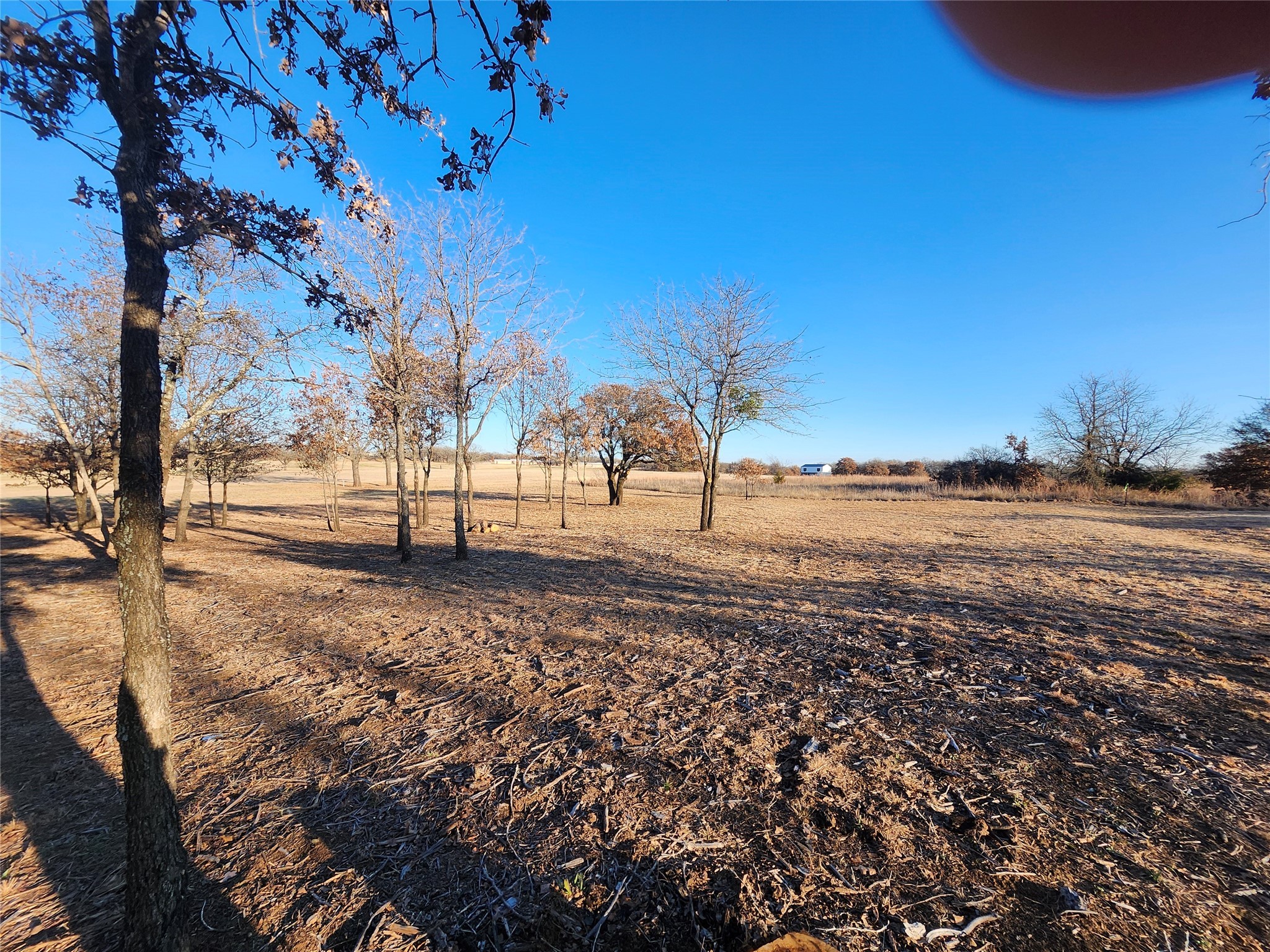 10 Ridglea Court Nocona TX 76255