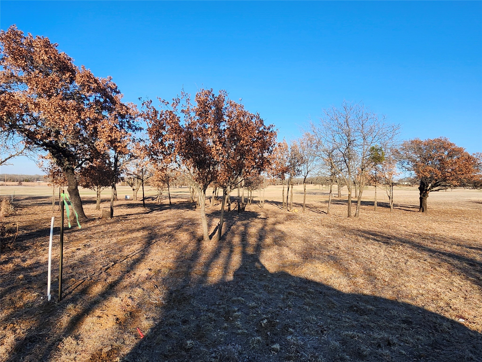 10 Ridglea Court Nocona TX 76255