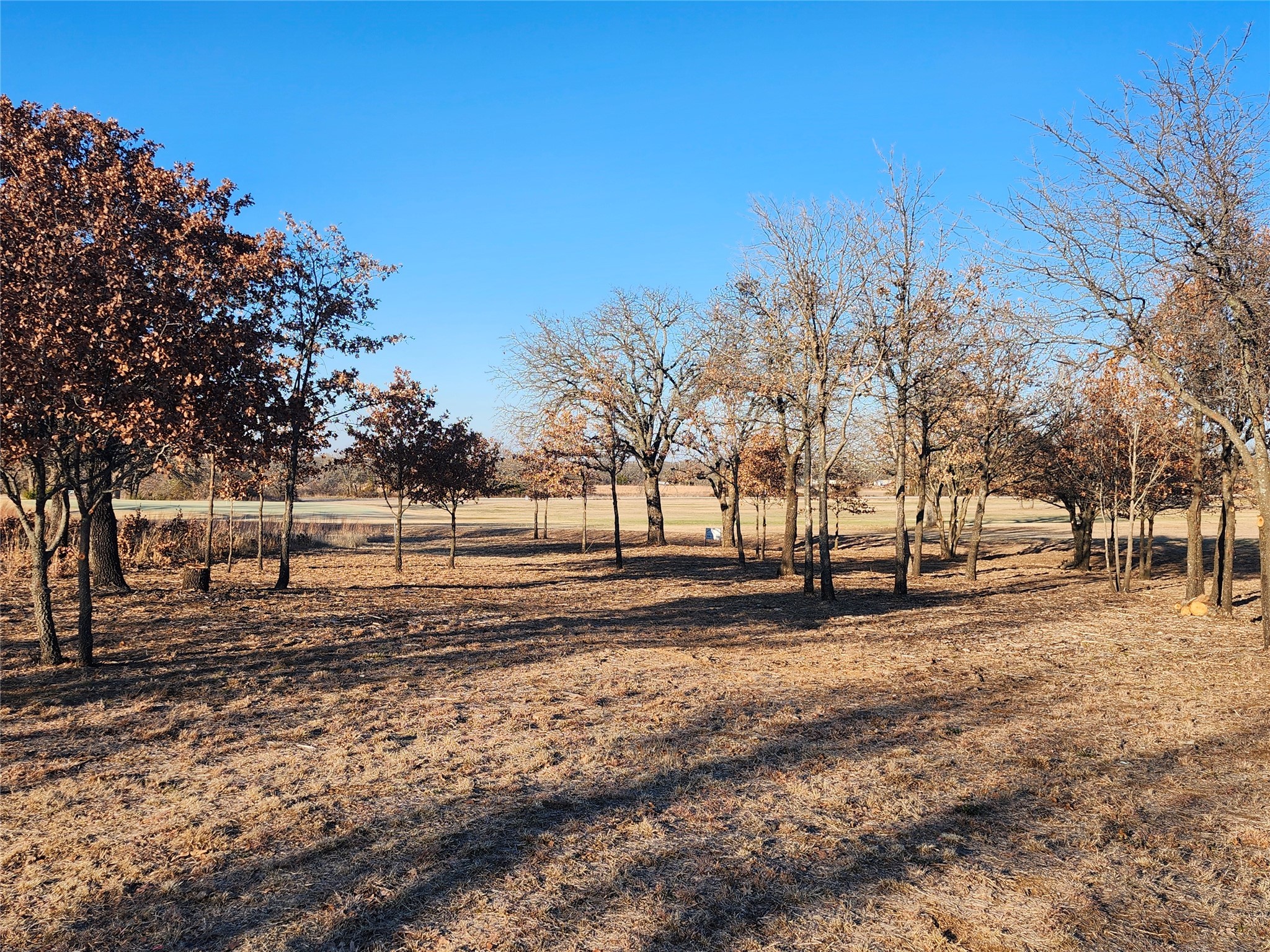 10 Ridglea Court Nocona TX 76255
