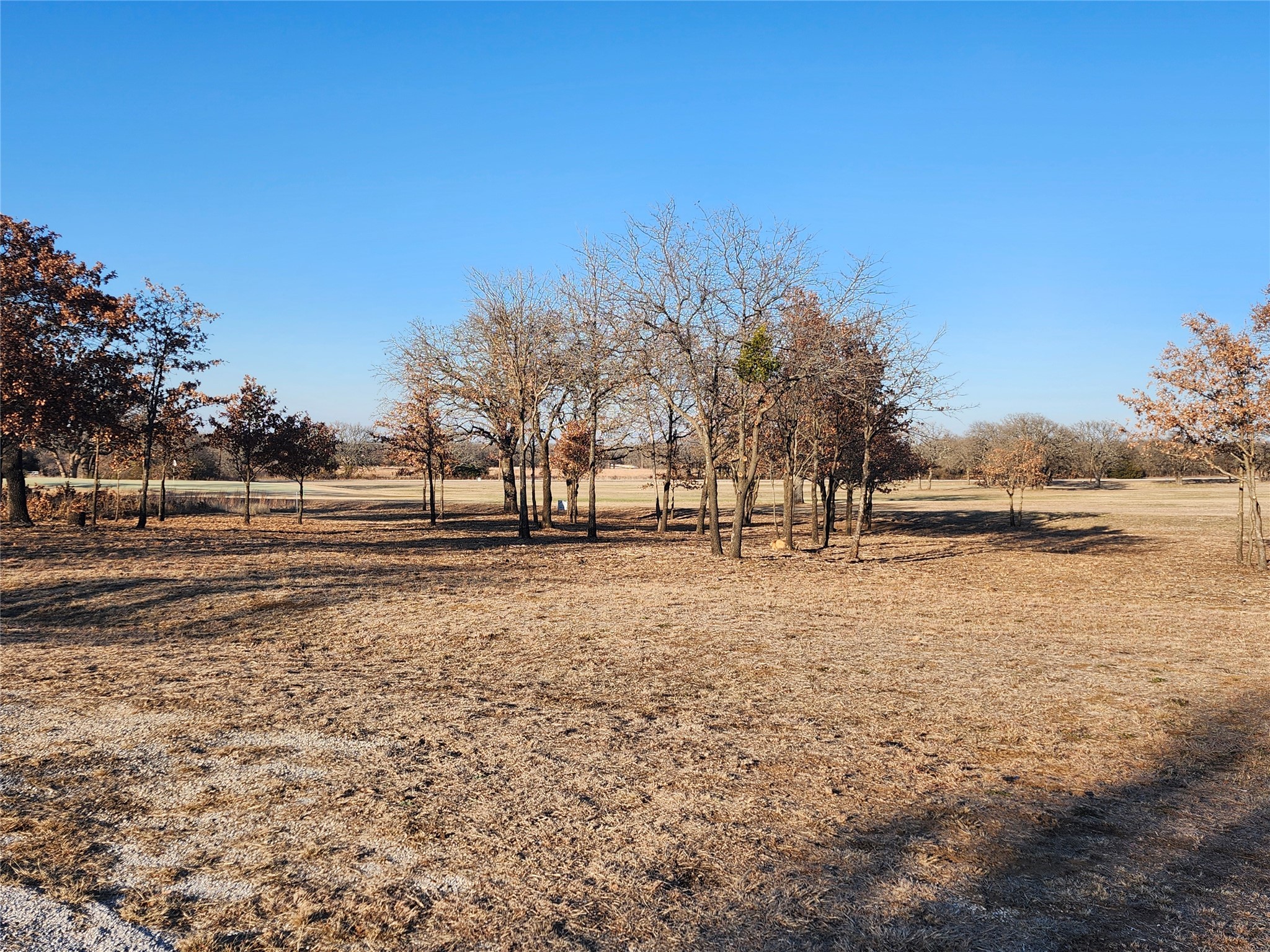 10 Ridglea Court Nocona TX 76255