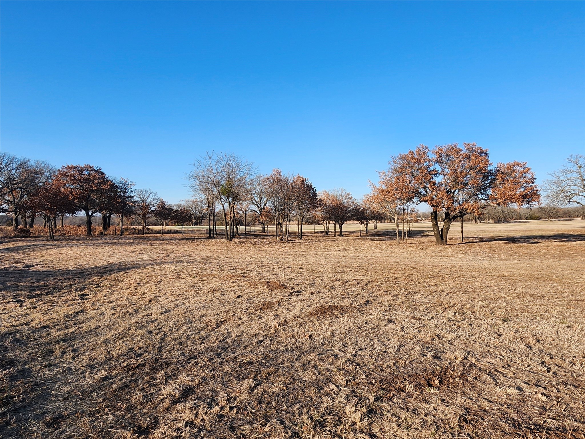 10 Ridglea Court Nocona TX 76255