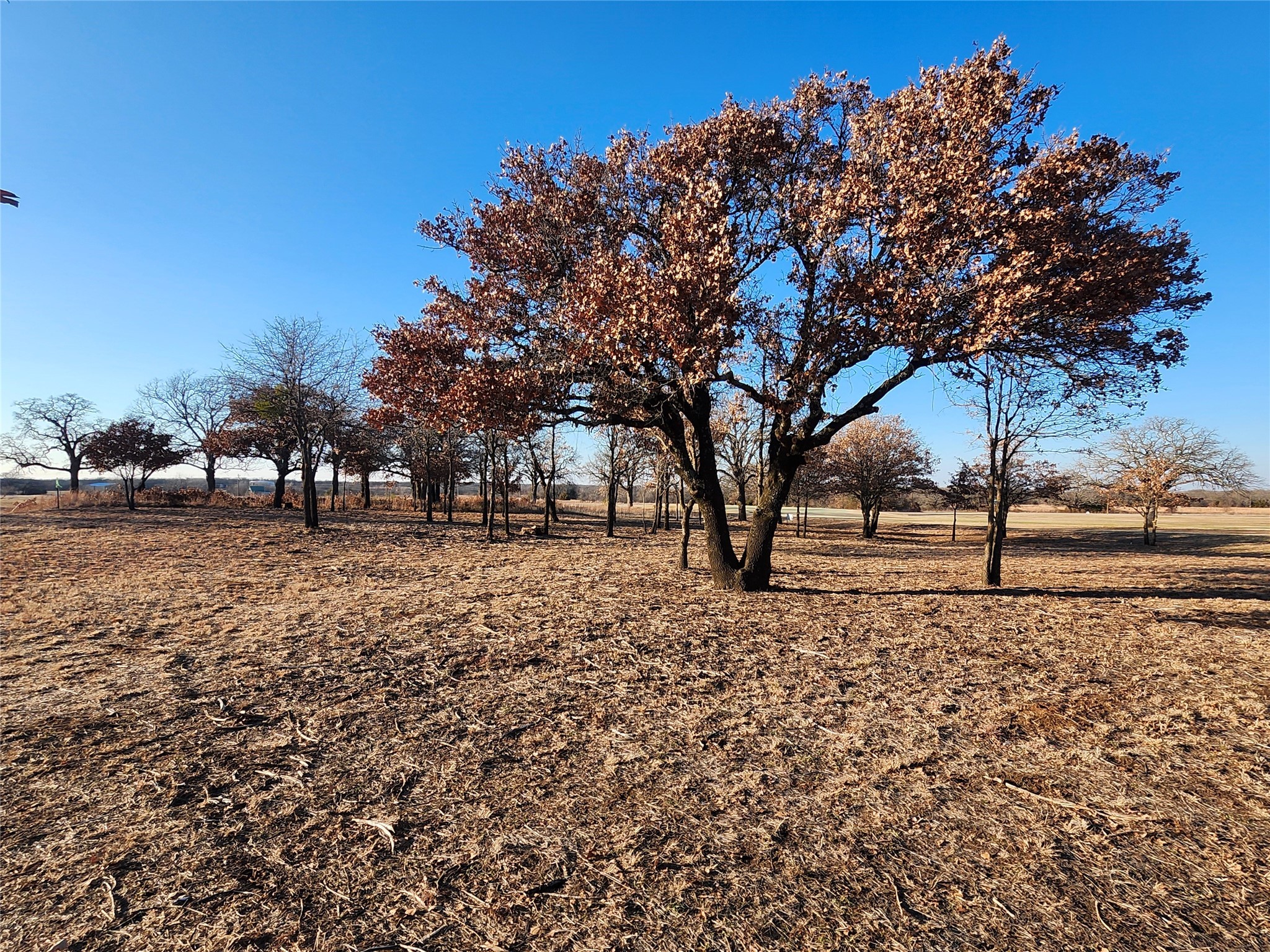10 Ridglea Court Nocona TX 76255