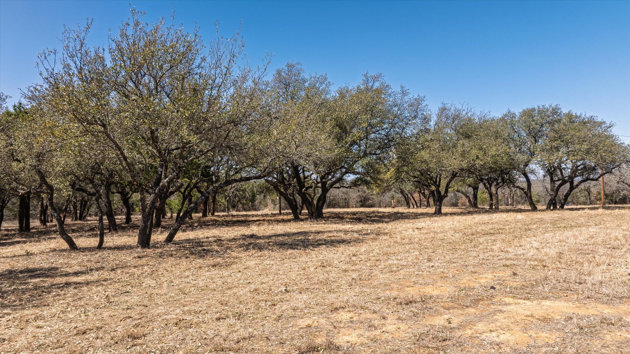 1900 Coleman Ranch Road Tolar TX 76476