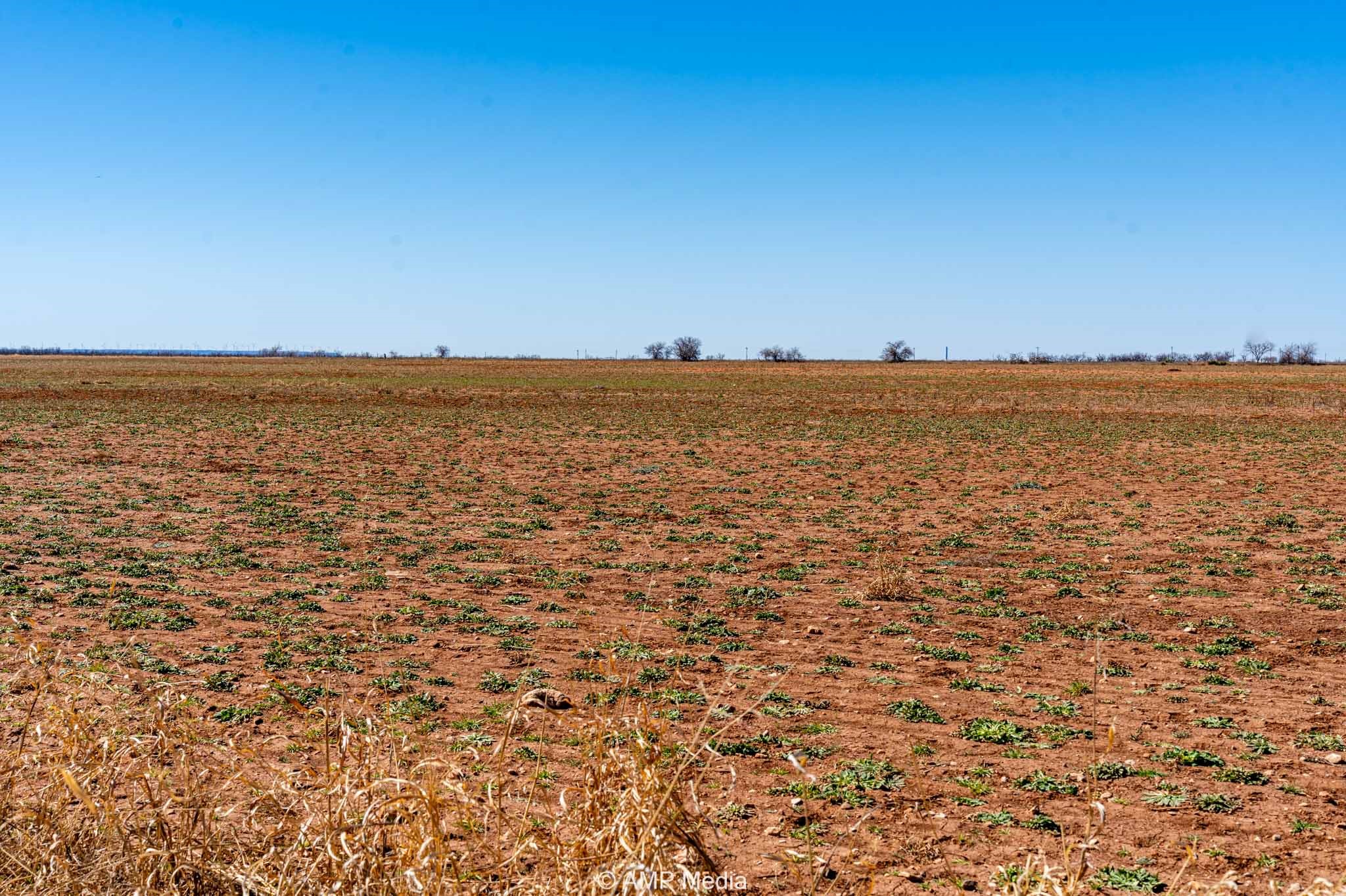 Tract 8 Tbd Cr 415 Merkel TX 79536