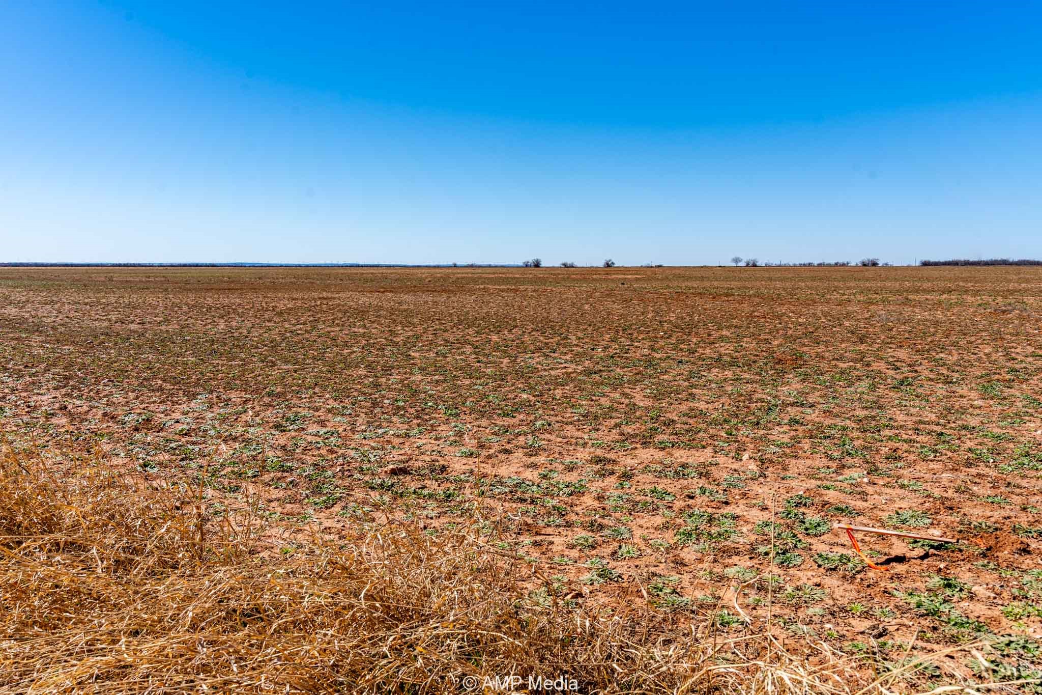 Tract 8 Tbd Cr 415 Merkel TX 79536