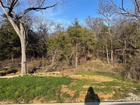 Lot 96 Castlewood Street Gordonville TX 76245