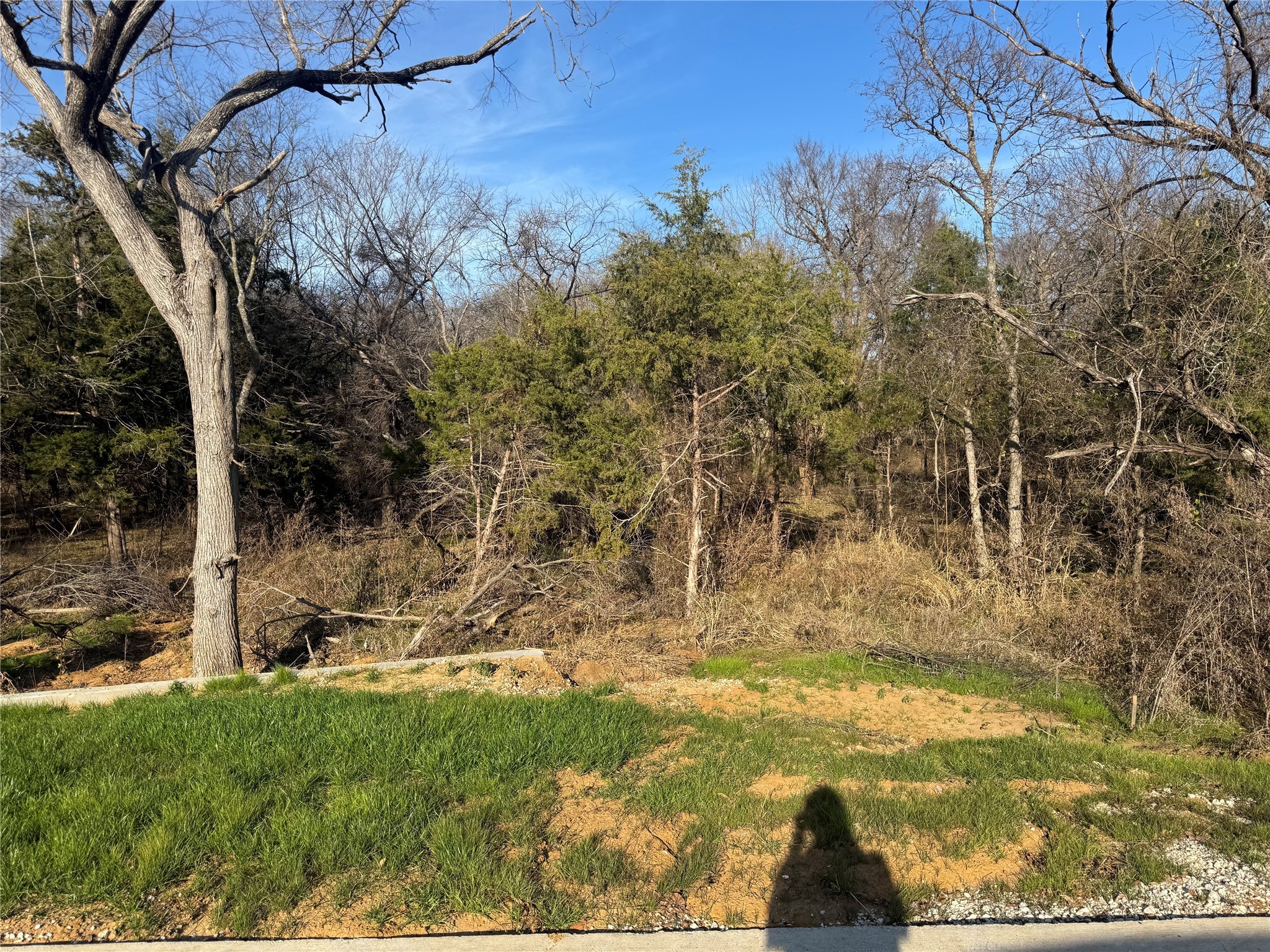 Lot 96 Castlewood Street Gordonville TX 76245