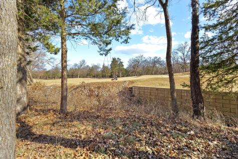 Tbd Clubhouse Drive Gordonville TX 76245