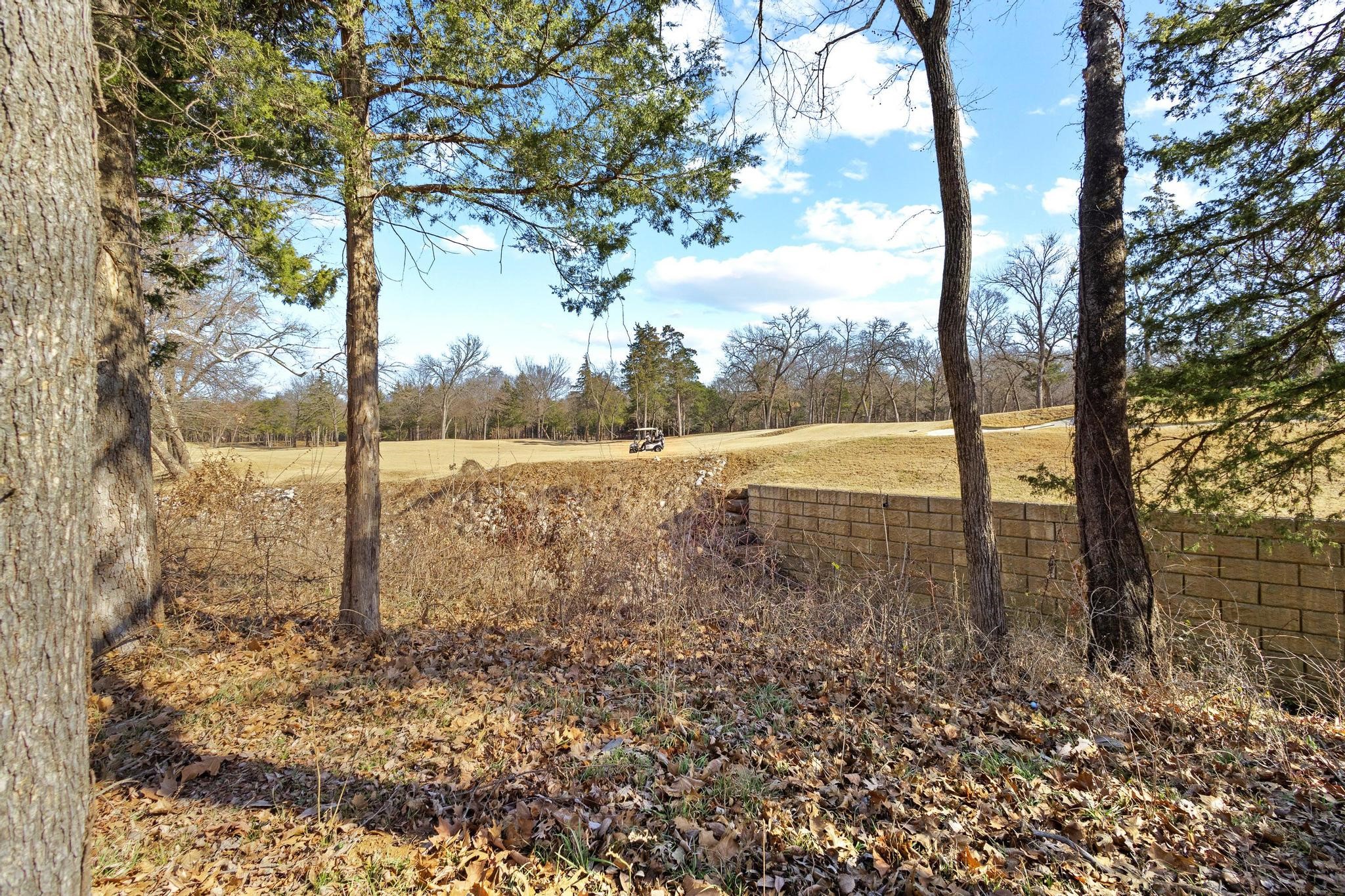 Tbd Clubhouse Drive Gordonville TX 76245