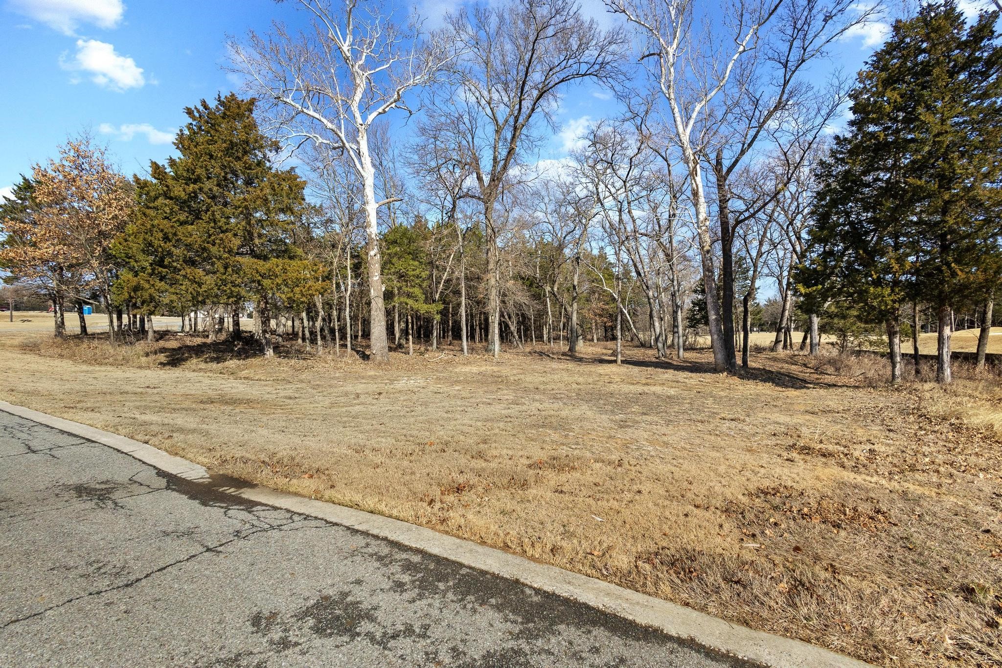 Tbd Clubhouse Drive Gordonville TX 76245