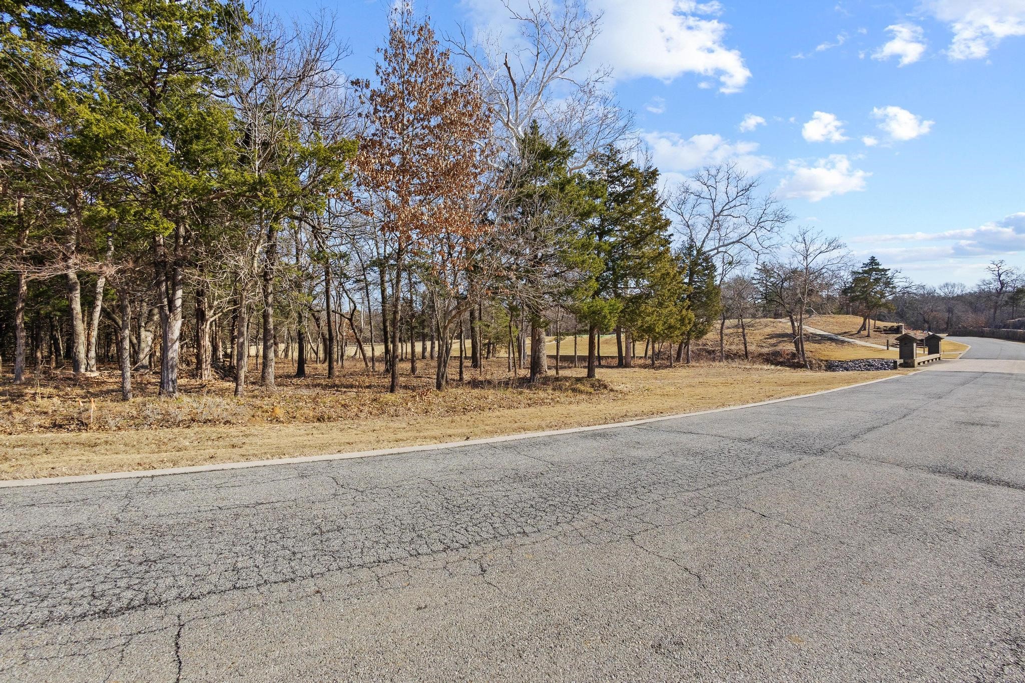 Tbd Clubhouse Drive Gordonville TX 76245