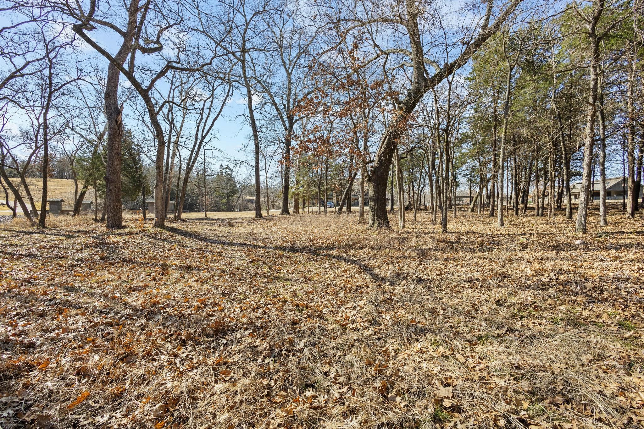 Tbd Clubhouse Drive Gordonville TX 76245