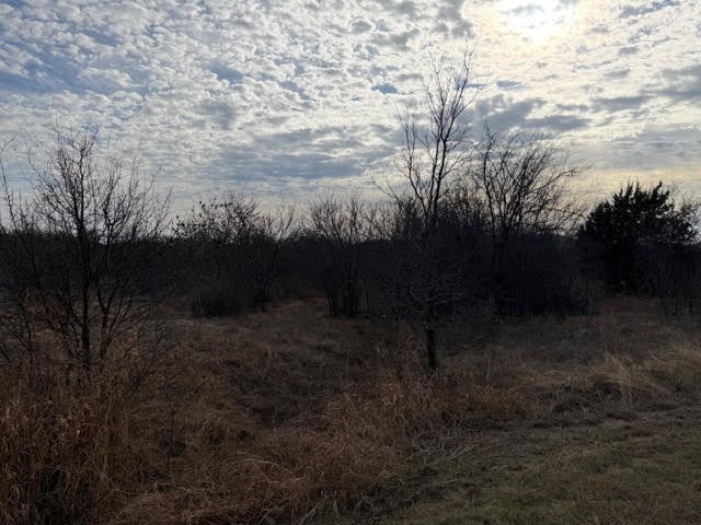 1402 Evening Primrose Drive Graford TX 76449