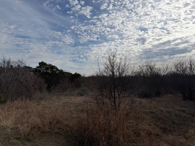 1402 Evening Primrose Drive Graford TX 76449