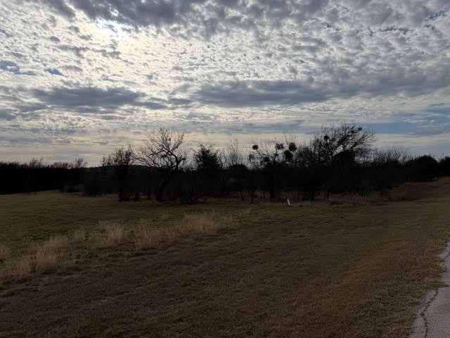 1402 Evening Primrose Drive Graford TX 76449