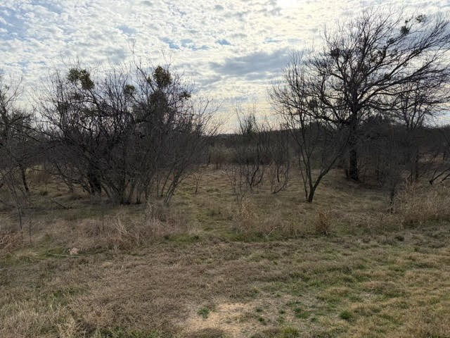 1402 Evening Primrose Drive Graford TX 76449