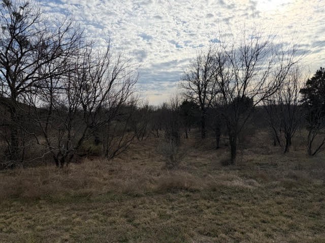 1402 Evening Primrose Drive Graford TX 76449
