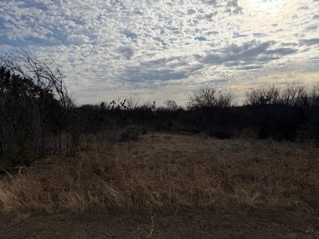 1402 Evening Primrose Drive Graford TX 76449