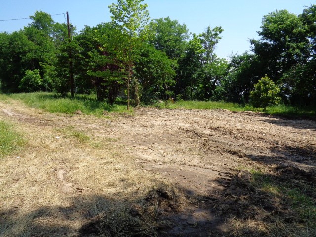 22084 Fm 1253 Mineola TX 75773