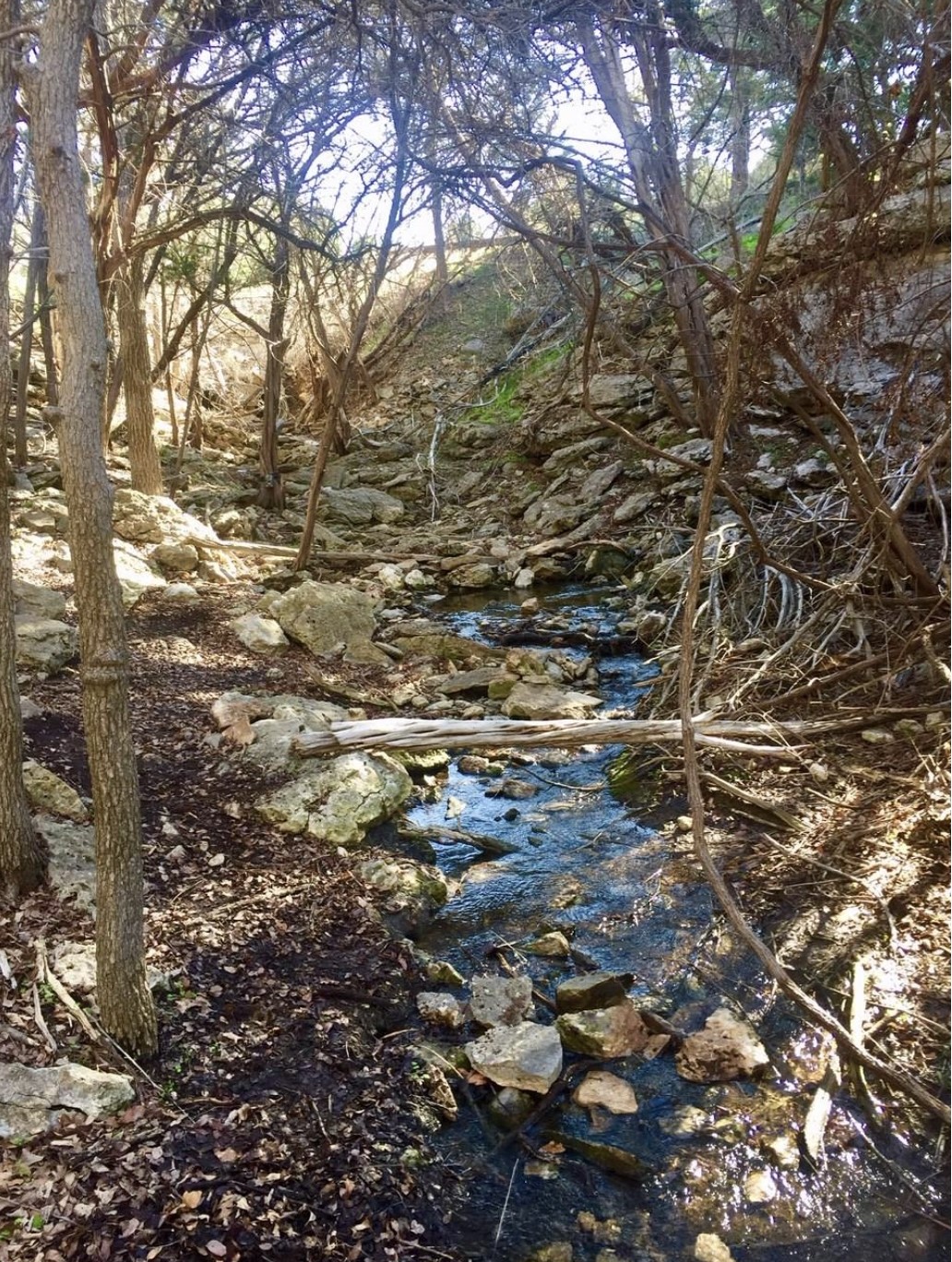 2005 Hells Gate Loop Strawn TX 76475