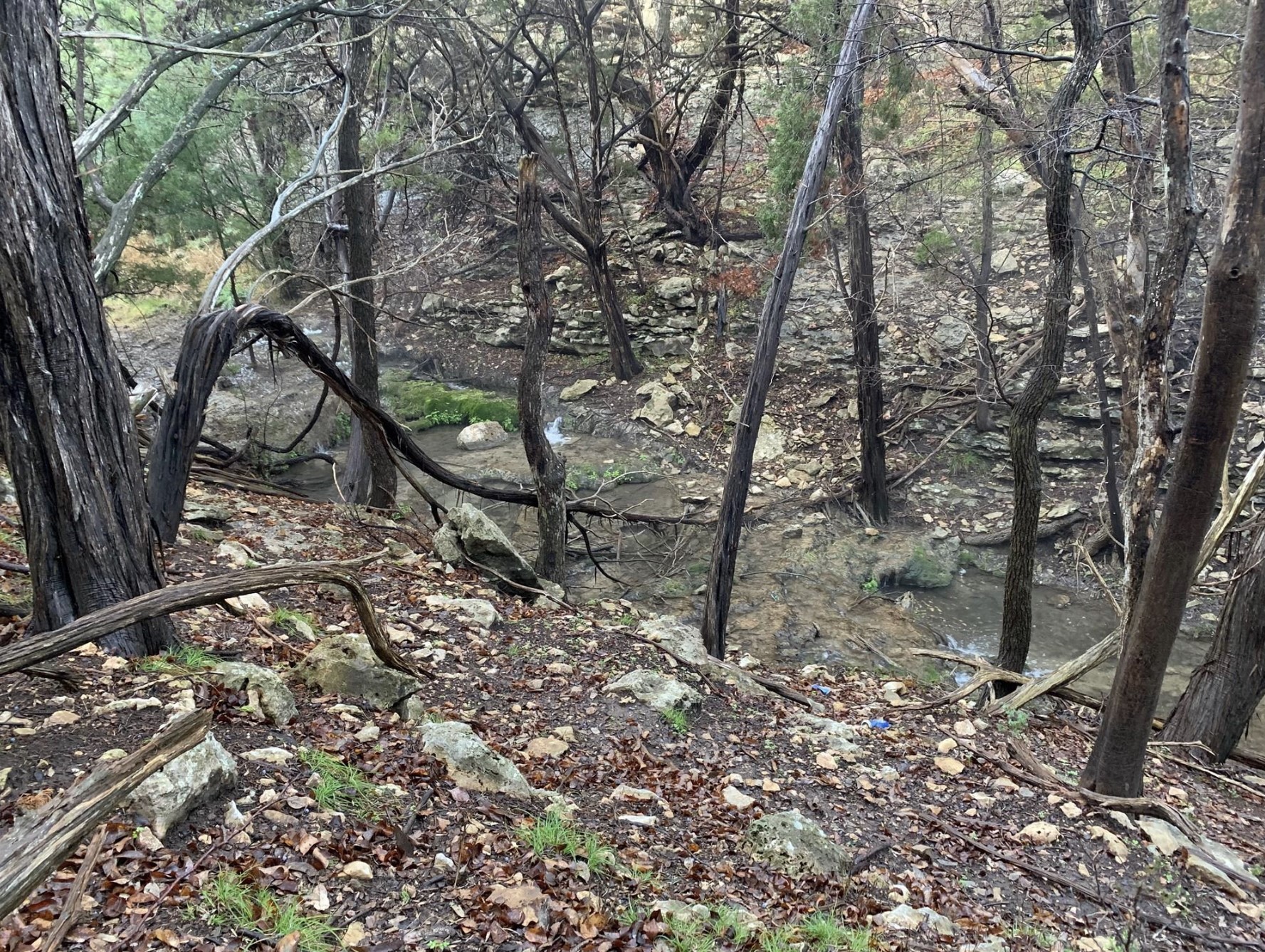 2005 Hells Gate Loop Strawn TX 76475