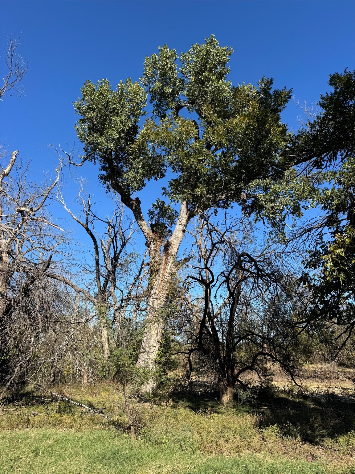 2435 County Road 247 Valley View TX 76272