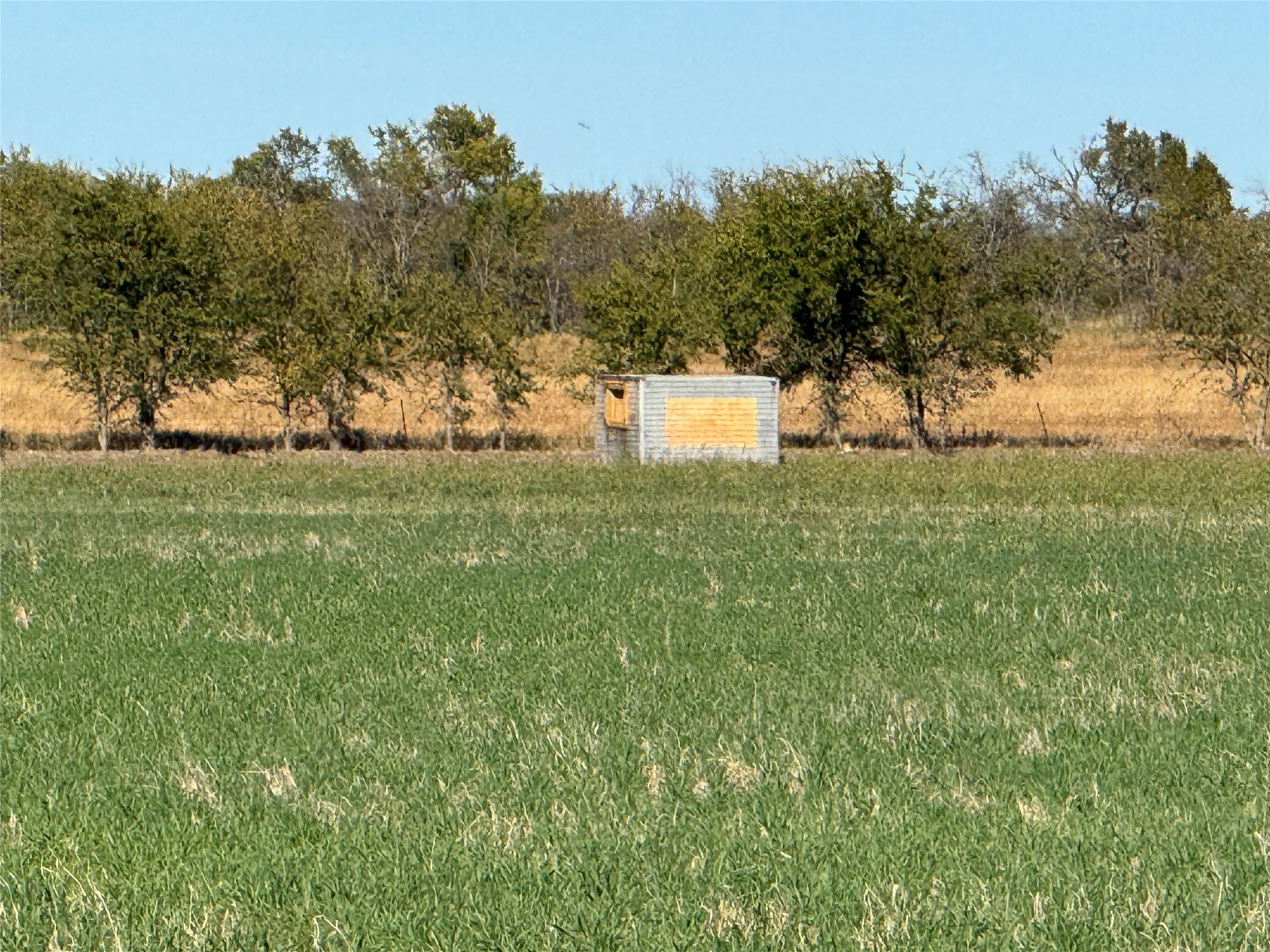 2435 County Road 247 Valley View TX 76272