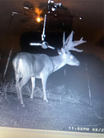 2435 County Road 247 Valley View TX 76272
