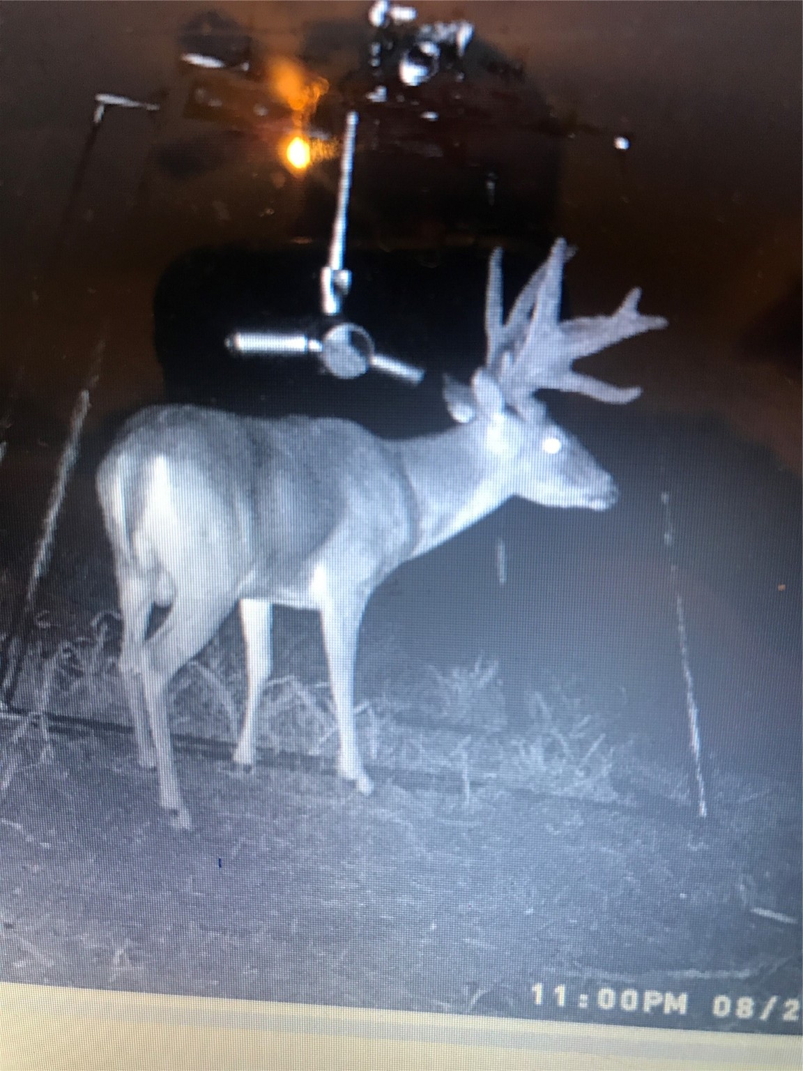 2435 County Road 247 Valley View TX 76272
