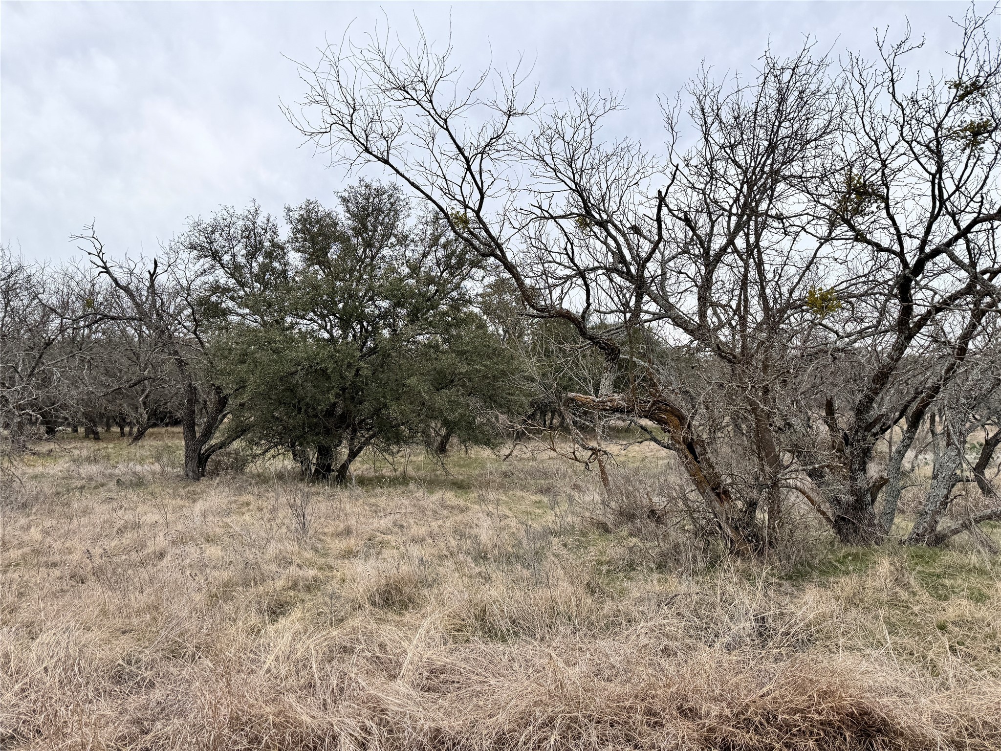 154 Lake Front Circle May TX 76857