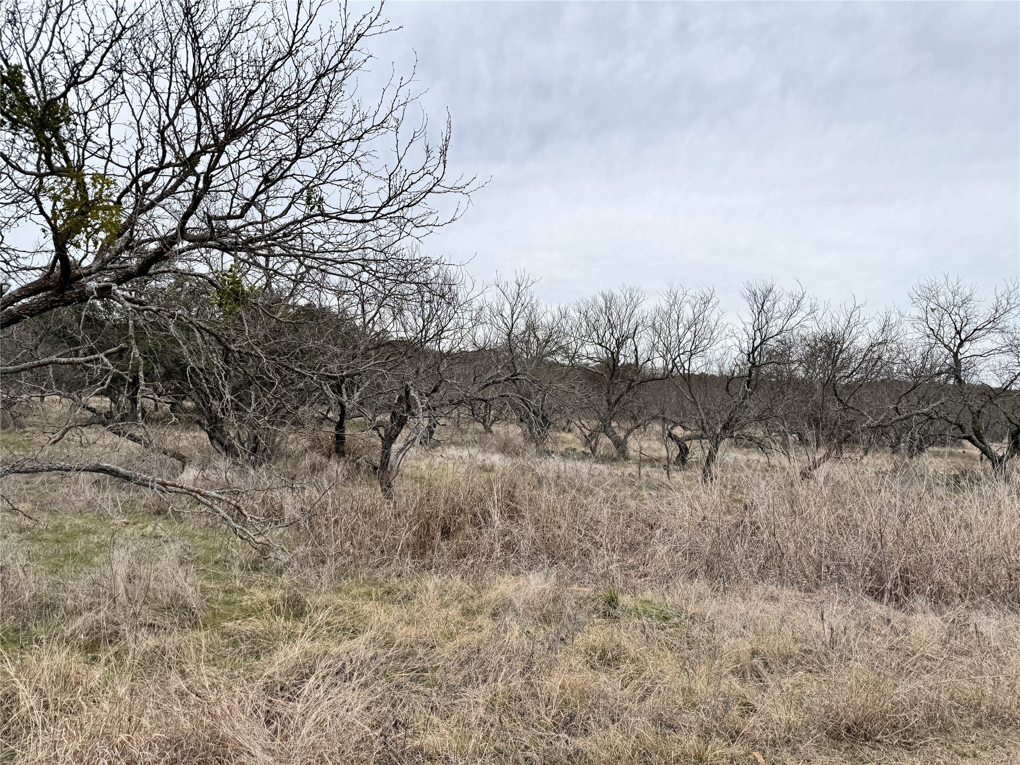 154 Lake Front Circle May TX 76857