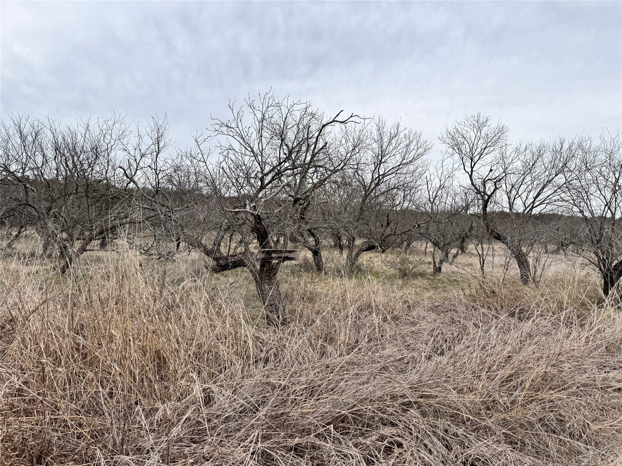 154 Lake Front Circle May TX 76857